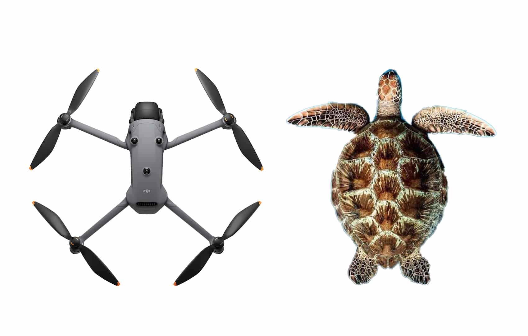 dji mavic 4 turtle drone