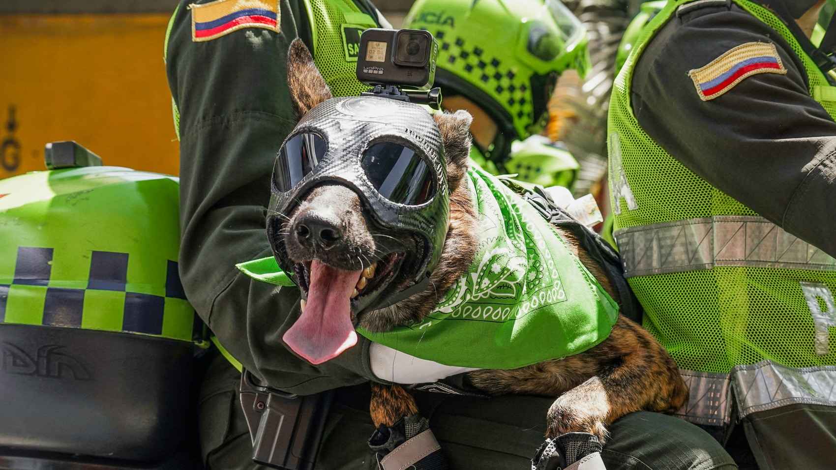 A goggle-wearing dog in a service vest sits with officers in green uniforms.