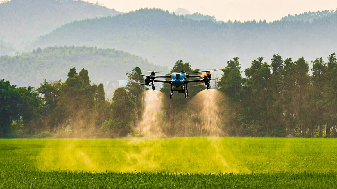 drone spray pasture weed uas uav agras dji