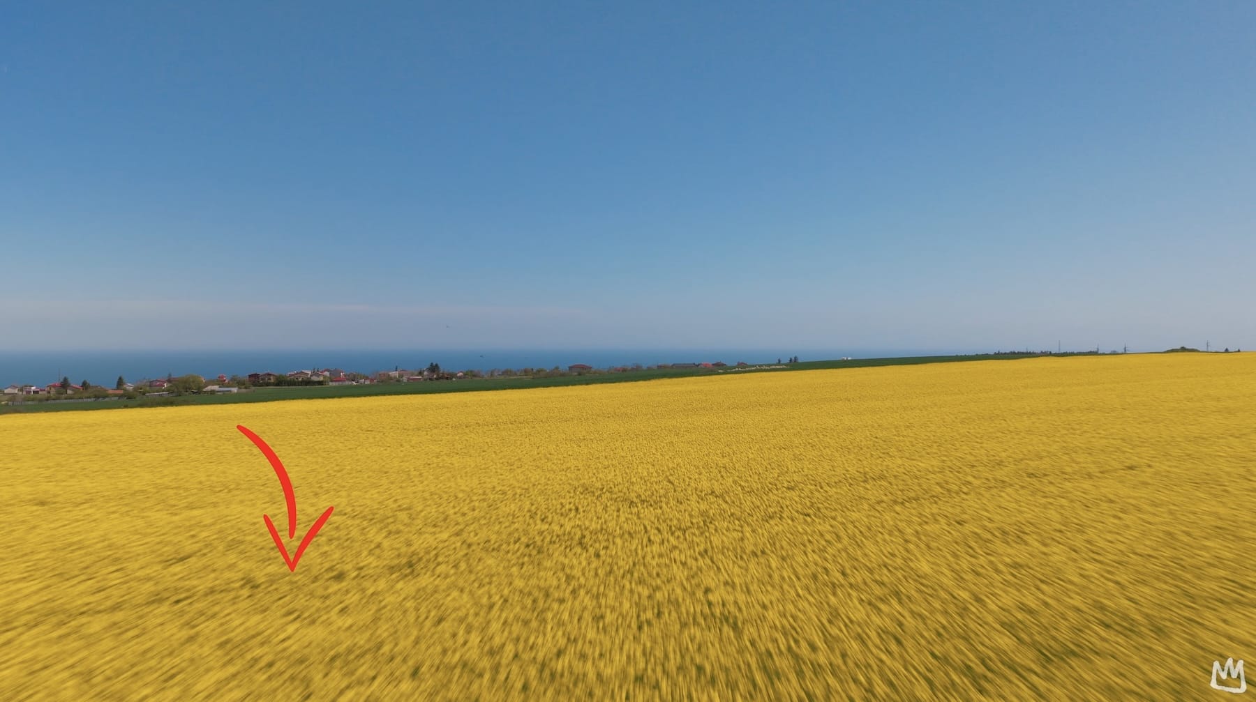 Aerial over a golden wheat field with a red arrow marking motion blur.