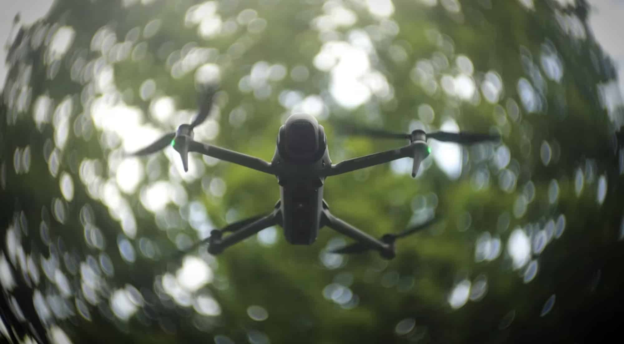 Seen from below, the drone hovers under a dappled tree canopy.