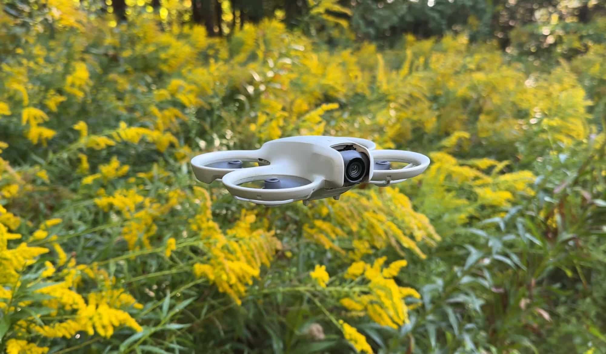The DJI Flip hovers above a bank of yellow goldenrod flowers.