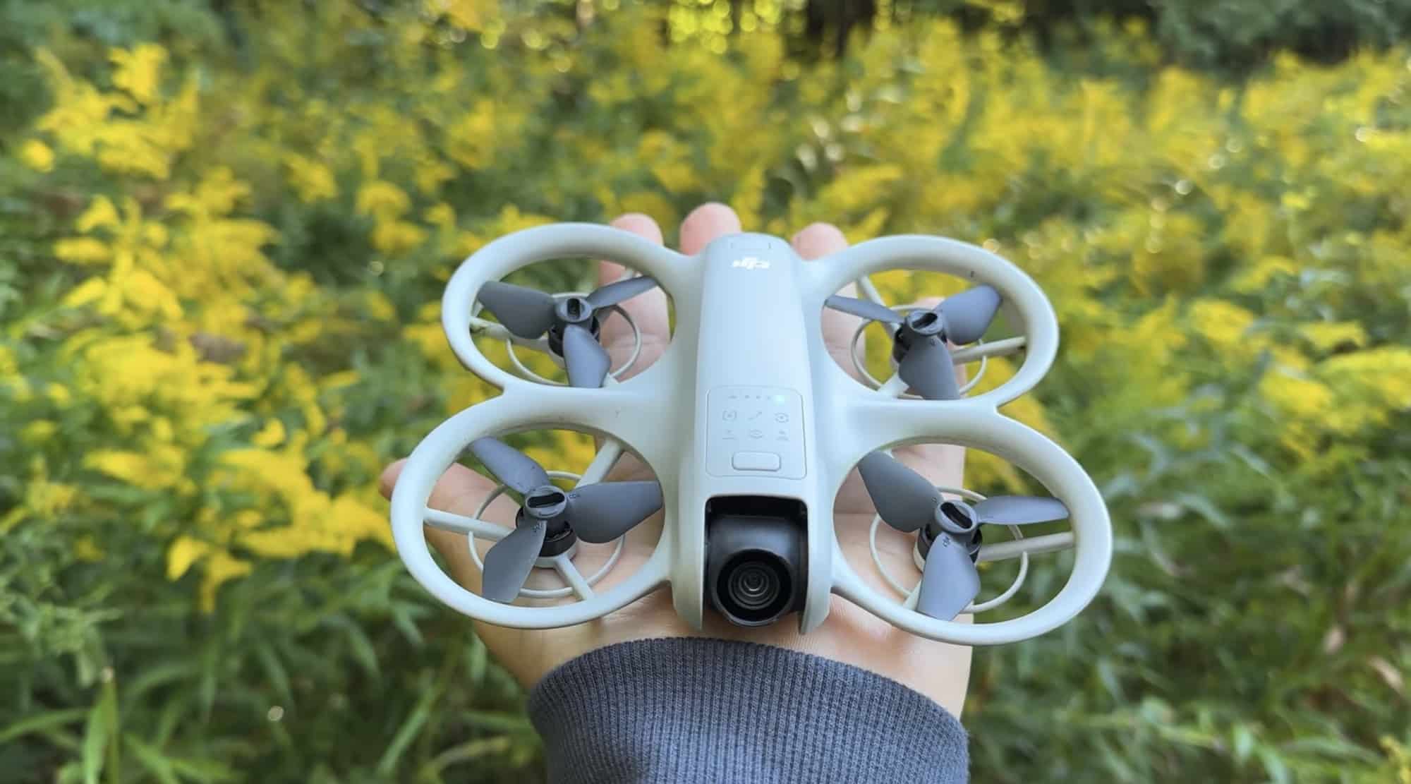 A hand presents the DJI Neo in front of tall goldenrod blooms.