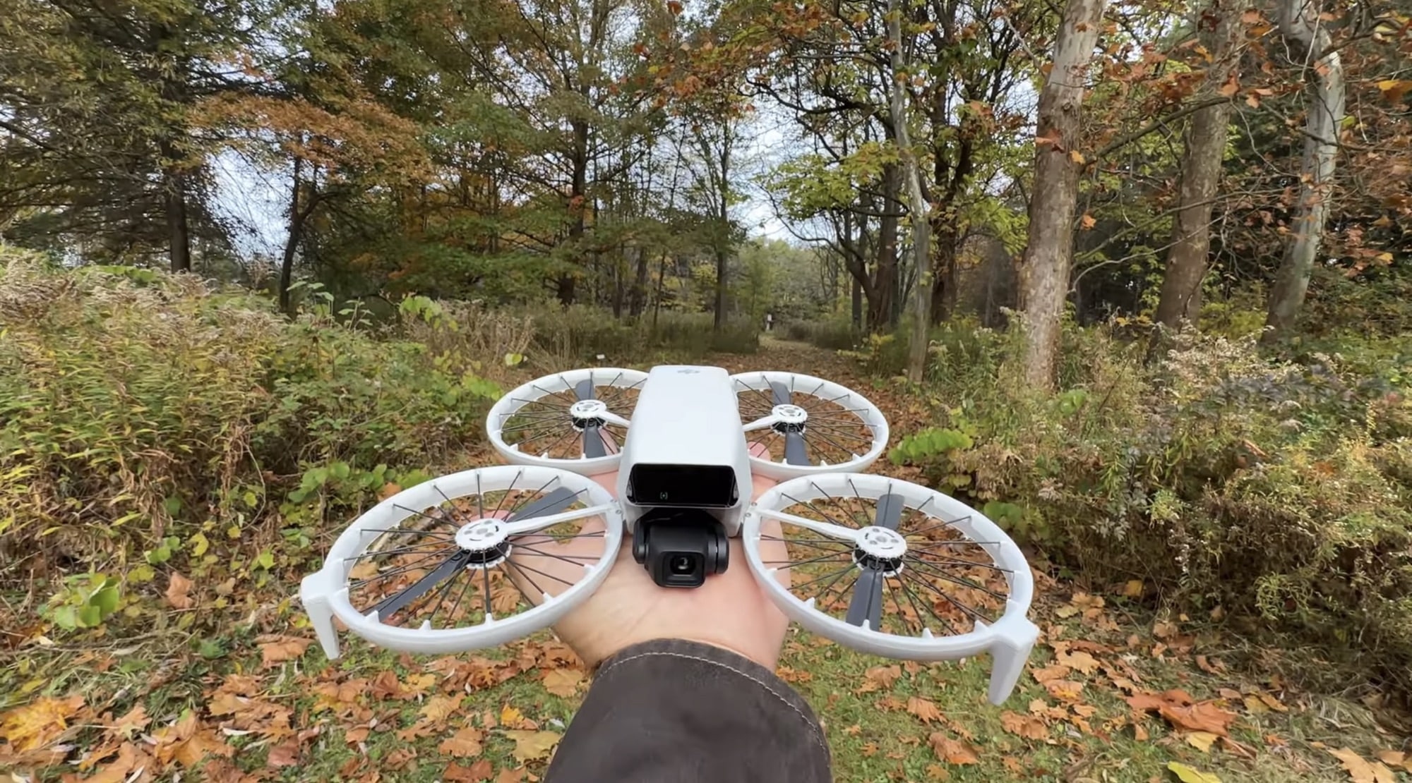 A palm holds the DJI Flip on a leaf-covered trail in autumn woods.