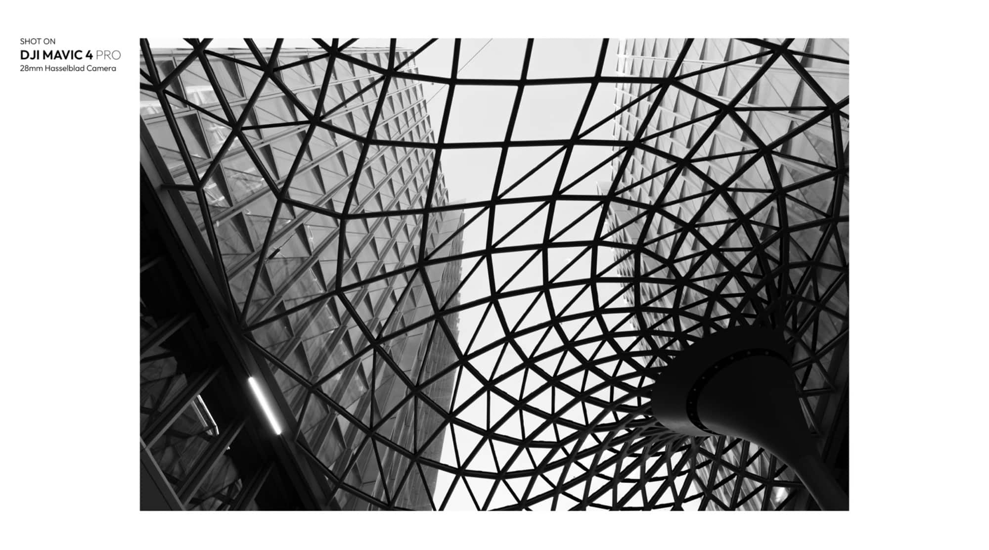 Black-and-white view looking up into a triangulated glass roof structure.