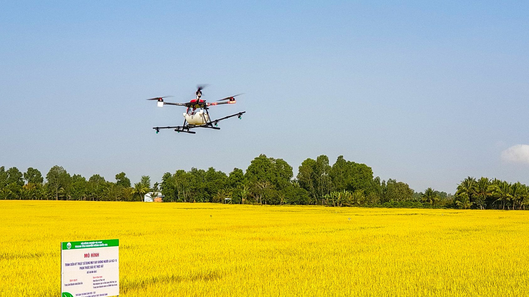 vietnam drone uas uav rice crop