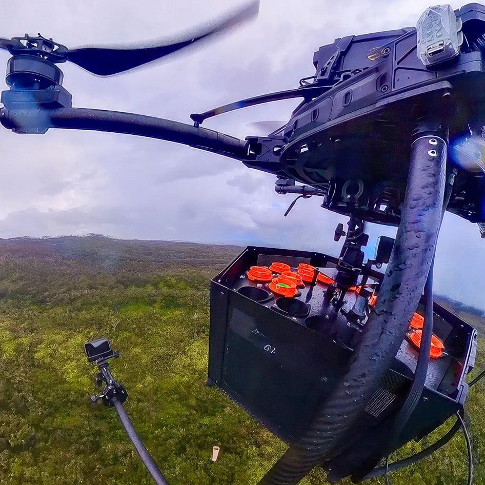 drone mosquitoes uav hawaii birds uas drones