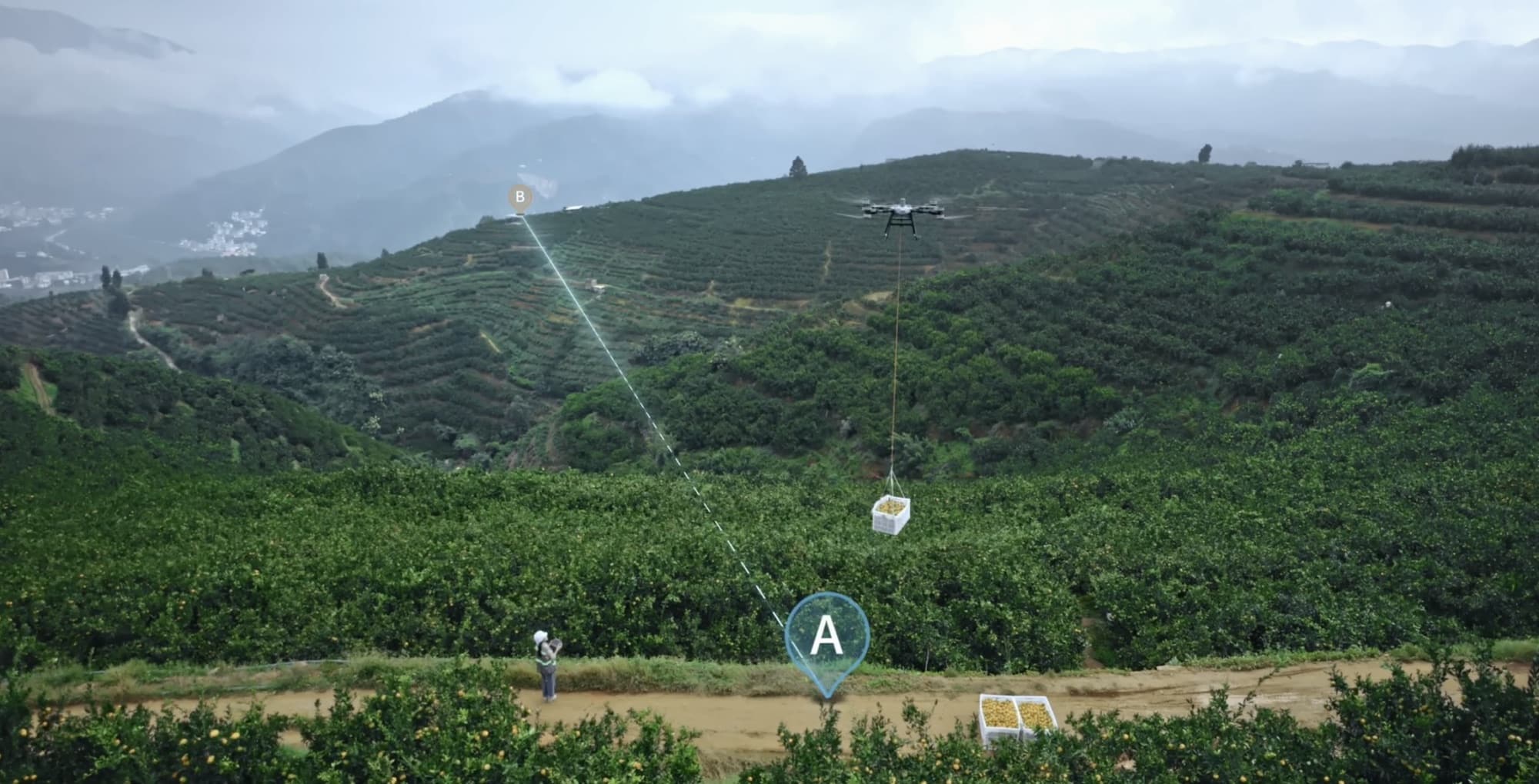 Aerial view of hillside orchards overlaid with a mapped flight route and waypoint marker.