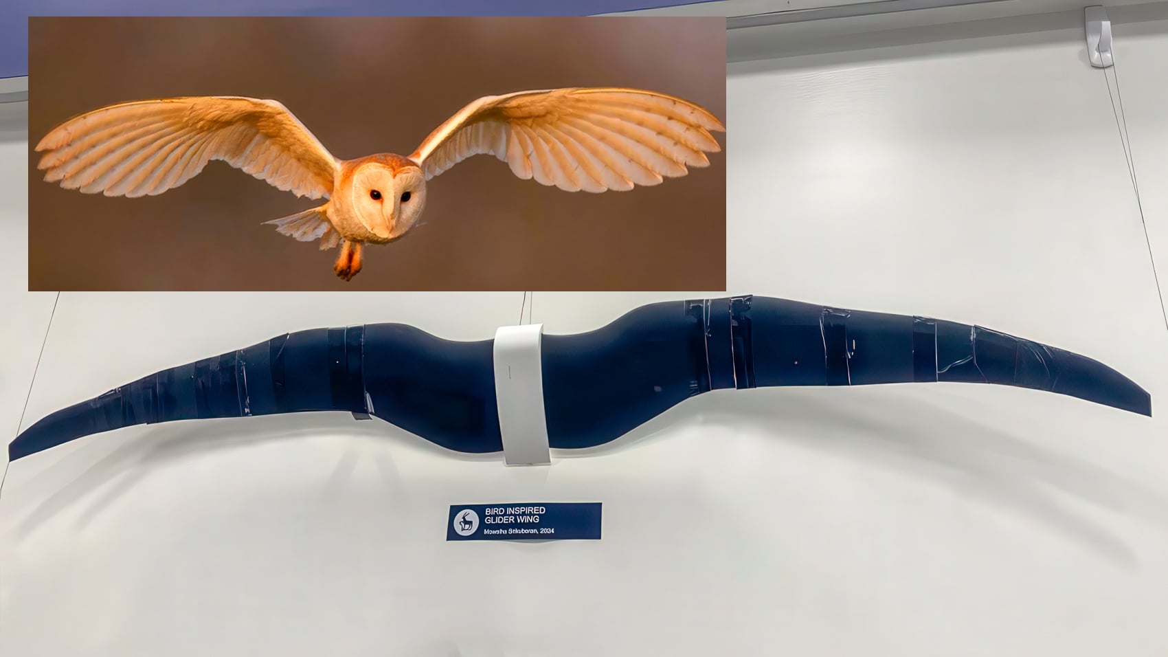Drone from Surrey University Learns to Fly Like an Owl