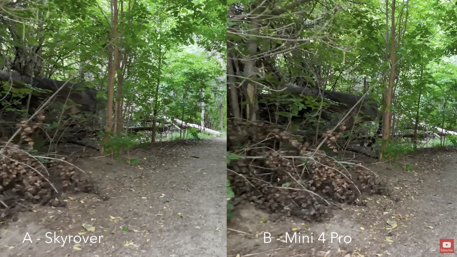 Shaded woodland compared side by side, SkyRover on the left, Mini 4 Pro right.