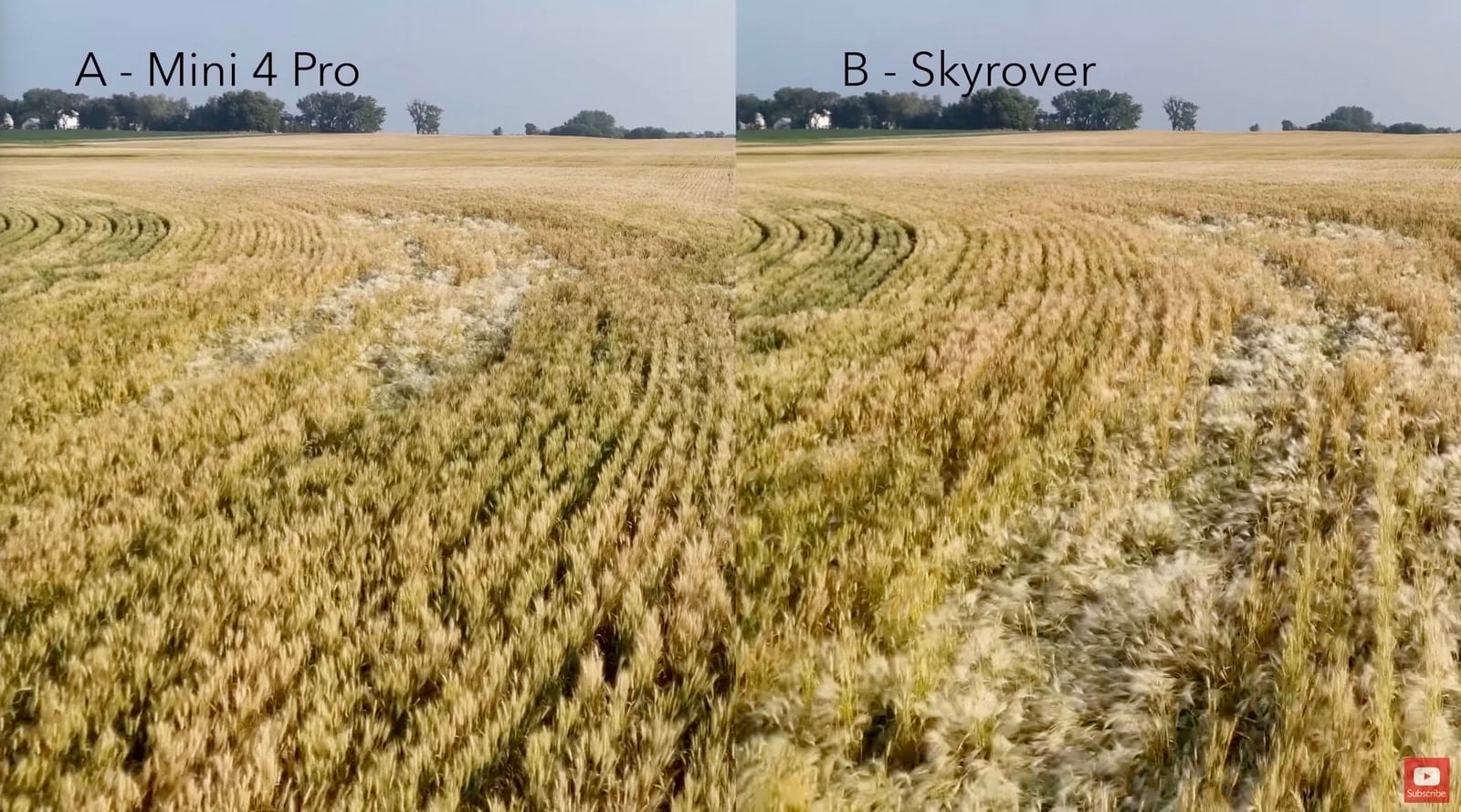 Split comparison of a wheat field labelled A for Mini 4 Pro, B for SkyRover.