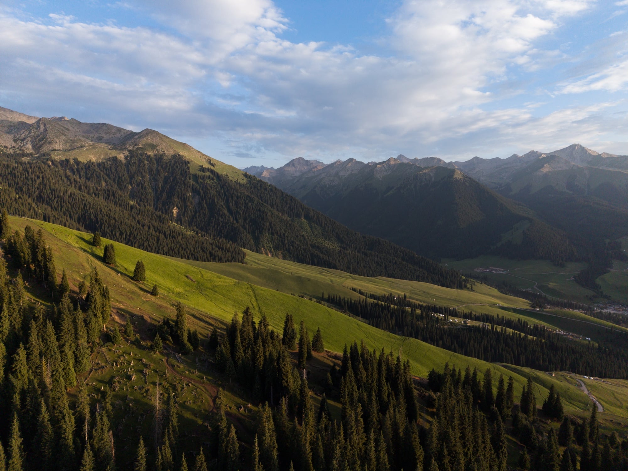 Aerial of a forested mountain flank dropping into a shadowed valley under clouds.