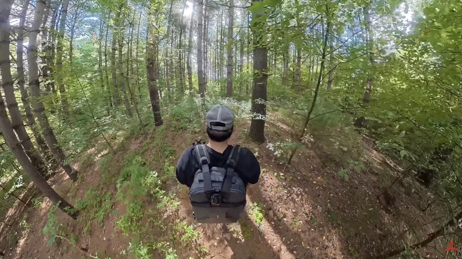 DJI Osmo 360 Best Accessories and Mounts