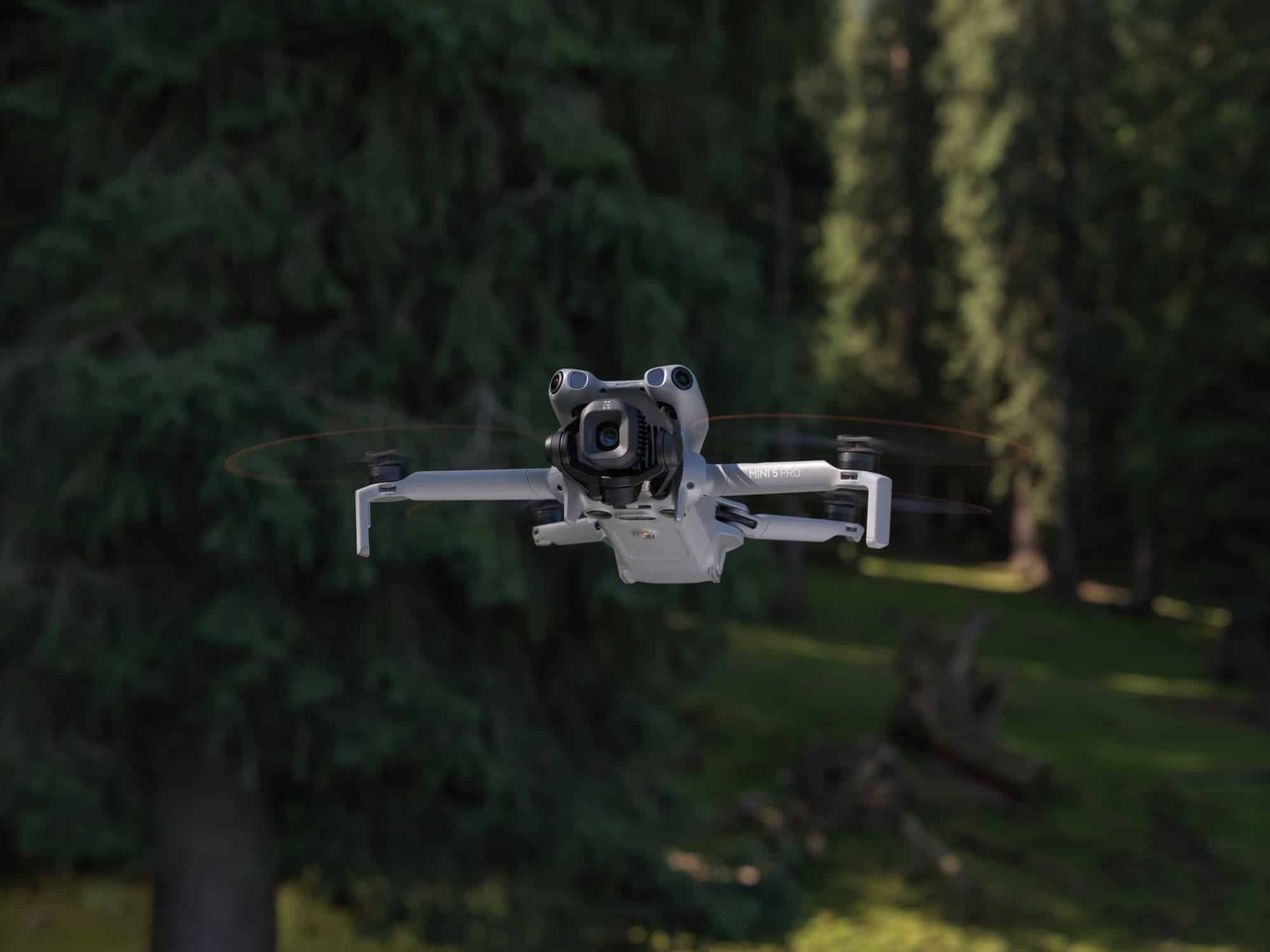 Backlit forest clearing with the drone hovering low between shadowed spruce trunks.