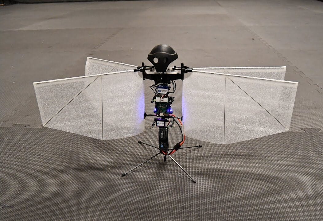 Moth-inspired flapping-wing prototype with translucent wings on a laboratory floor.