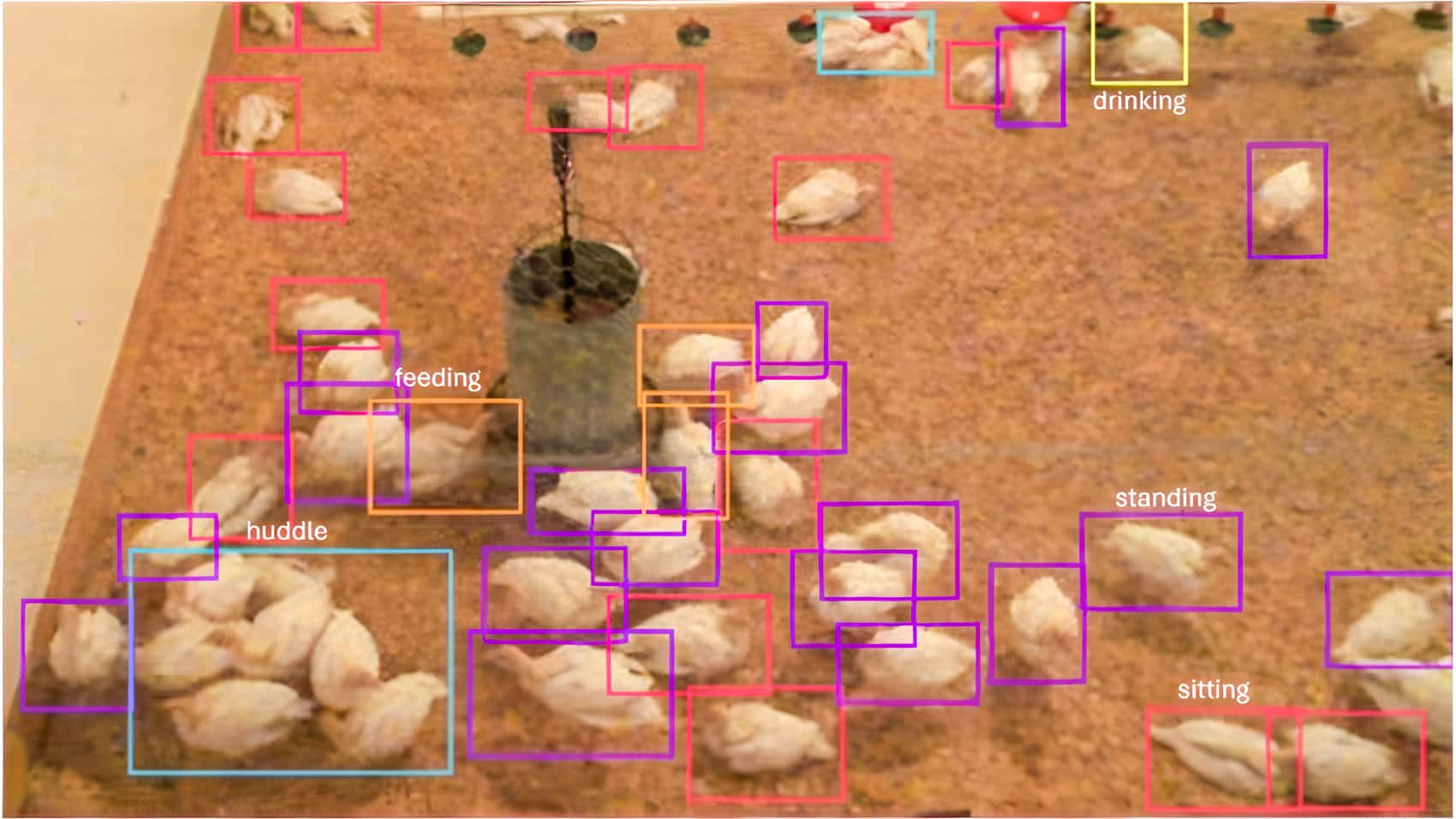 DJI Neo Drones and AI Team Up to Track Turkey Health