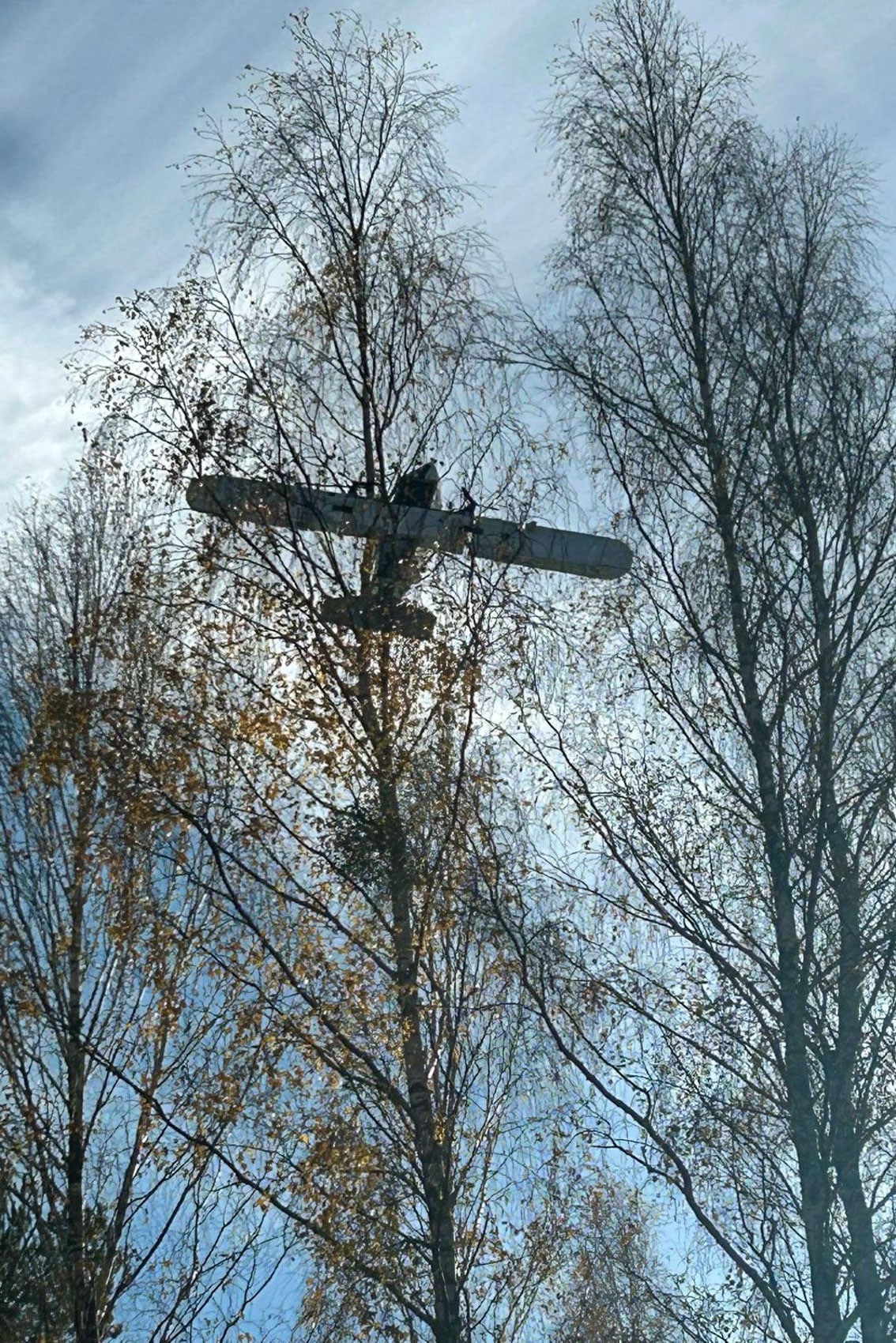 Polish Border Guards Seize Drone Smuggling Hundreds of Cigarette Packs from Belarus