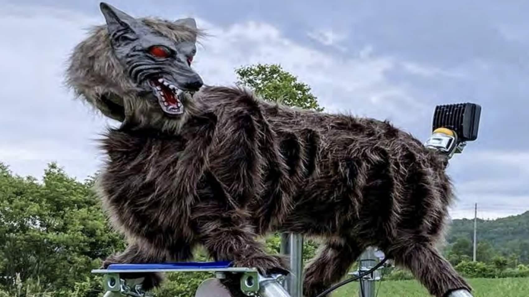 Robotic Monster Wolf with glowing red eyes used to scare bears off Hokkaido farmland.