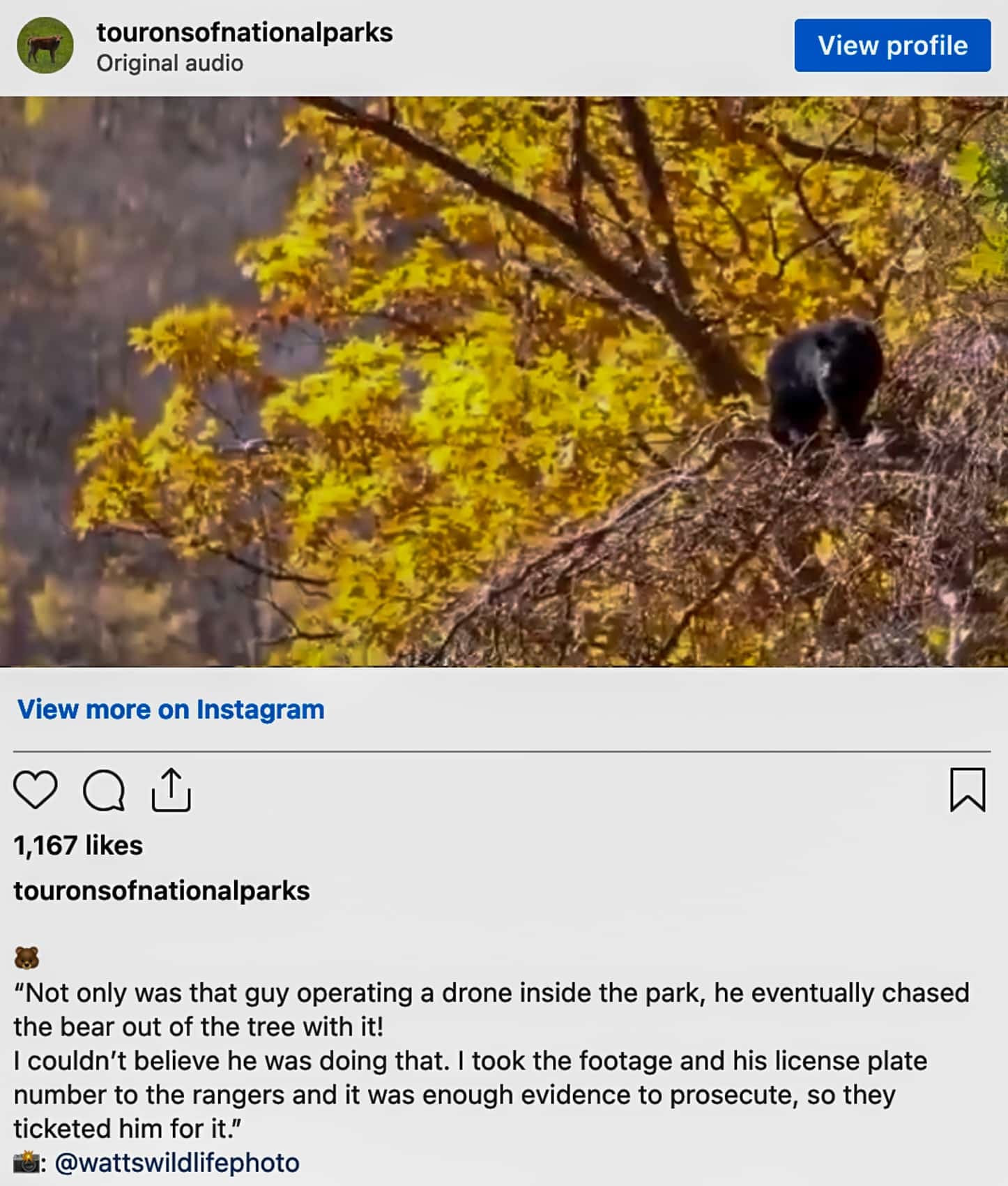 Anarchy in the Sky: DJI Drones Invade Yosemite