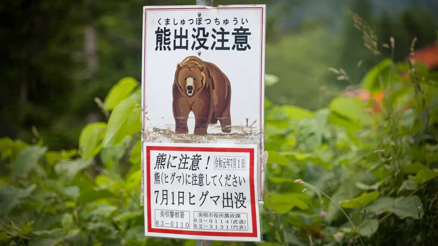 Drone rigged to broadcast dog barking sounds over towns in Gifu Prefecture.