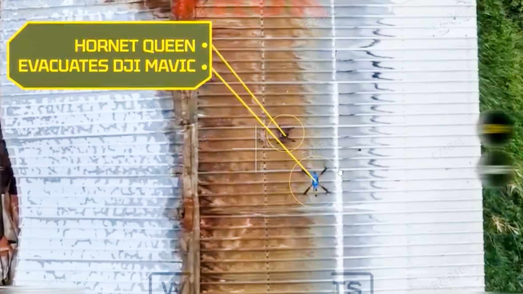 Ukrainian Queen Hornet Saves a Mavic in Daring Drone Rescue
