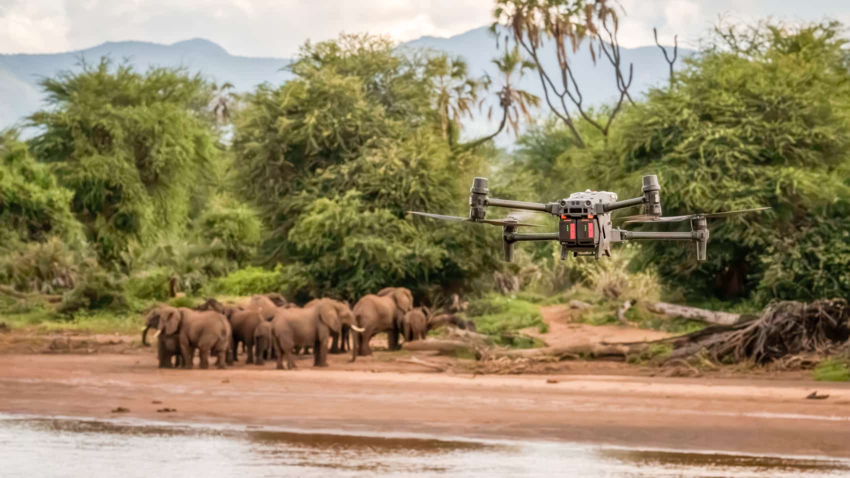 DJI Drones Are Changing Elephant Research