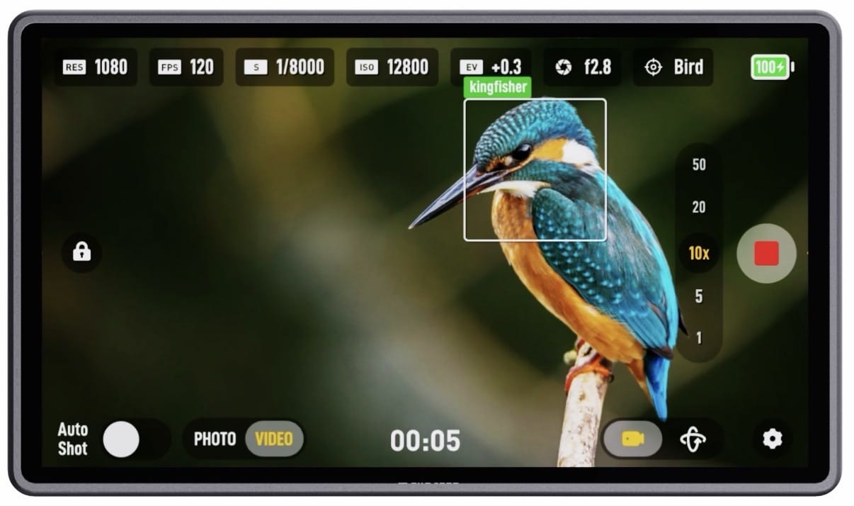 Ex-DJI Engineers Launch AI Bird Camera With Massive 1,750mm Zoom