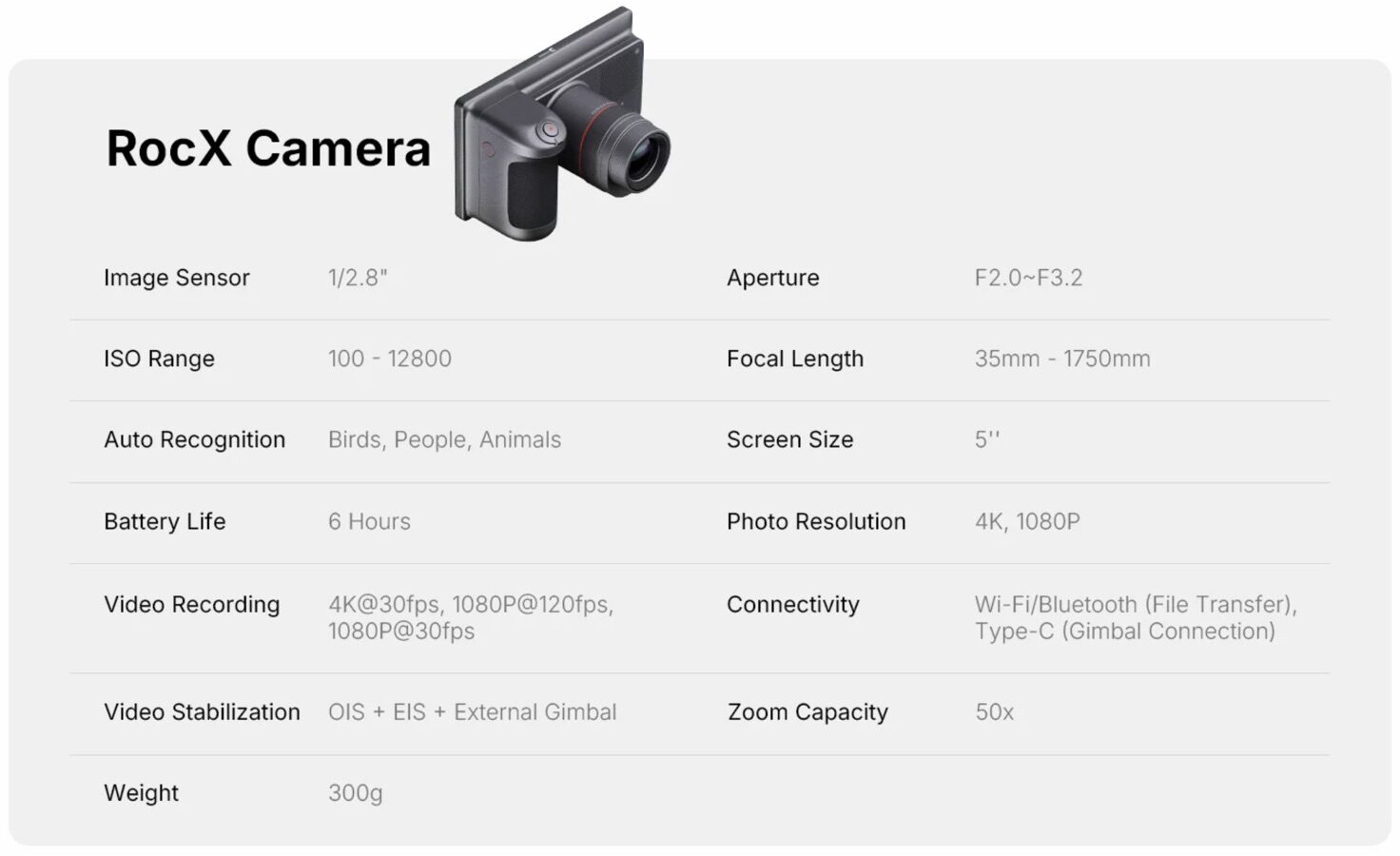 Ex-DJI Engineers Launch AI Bird Camera With Massive 1,750mm Zoom