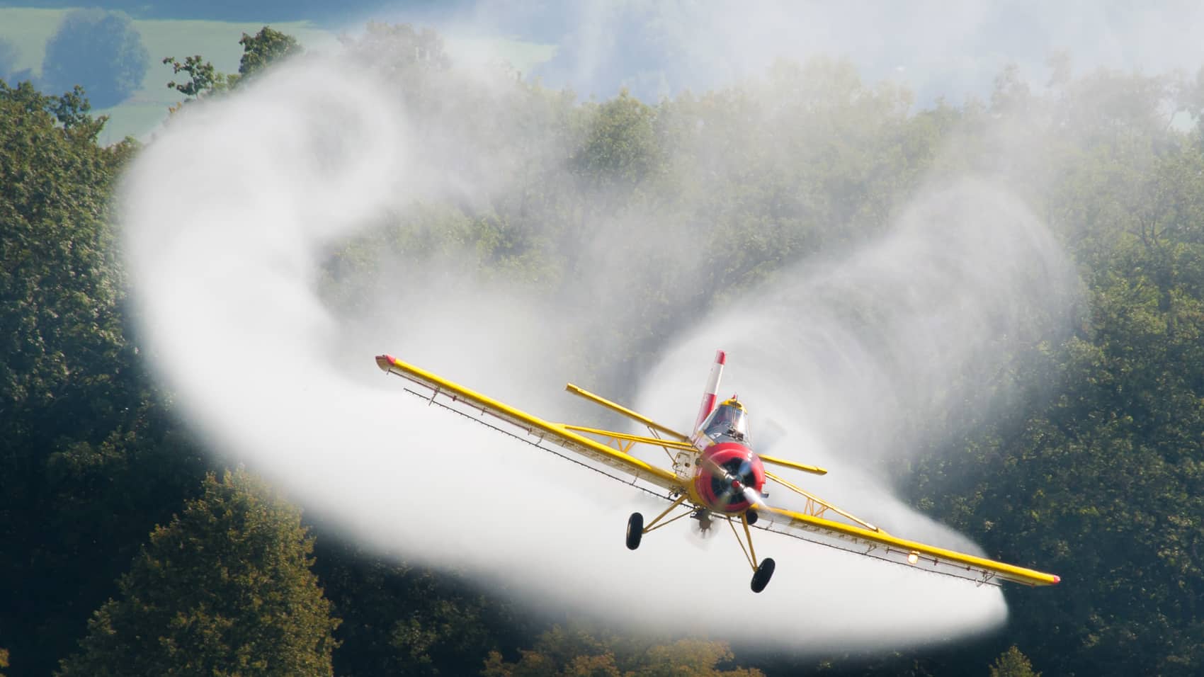 Yellow crop-duster aircraft releases a wide spray cloud low over forest canopy.