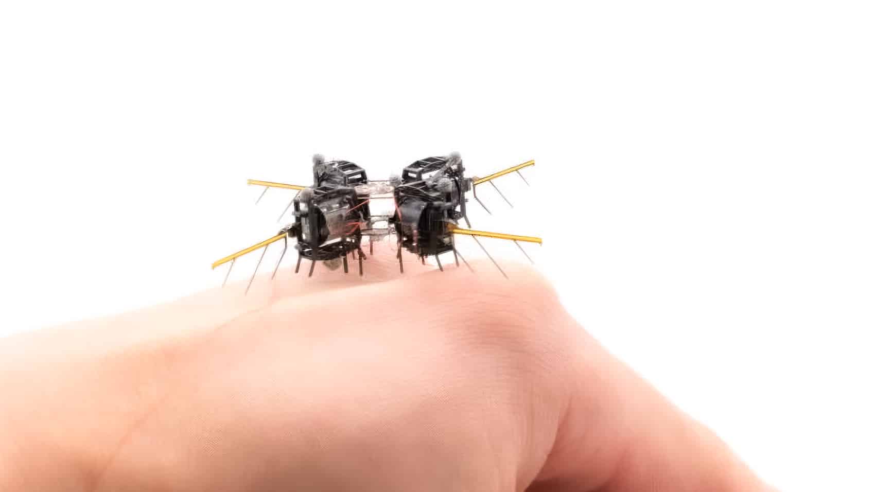 Tiny flapping drone matches insect speed with an AI brain