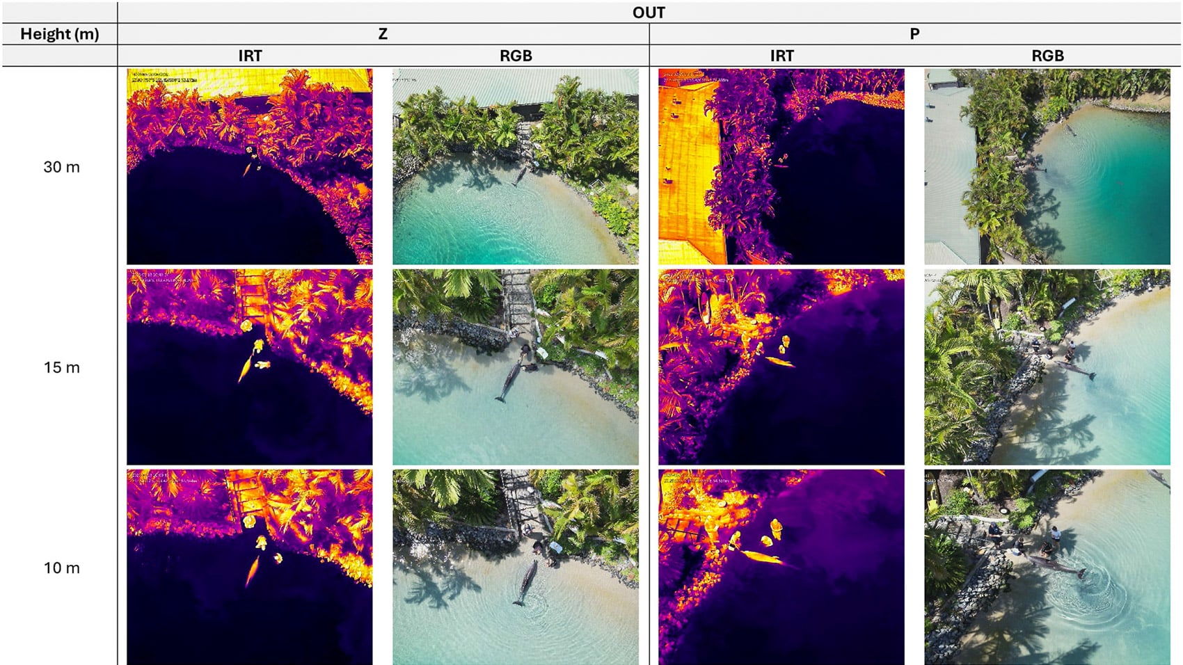 The same altitude comparison showing dolphins near the shoreline and open water.