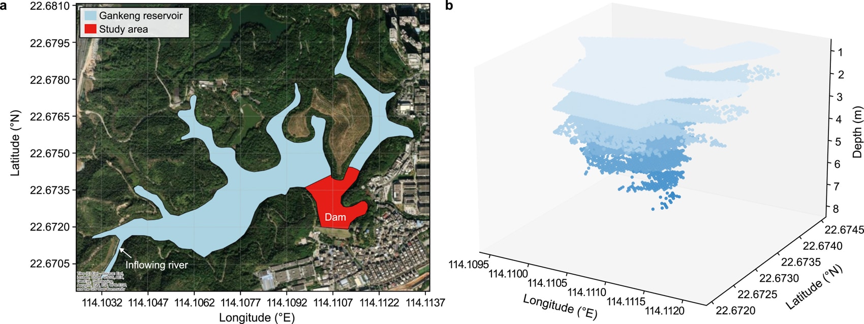 Study figure diagramming how rainfall lifts dormant algae from lake sediment.