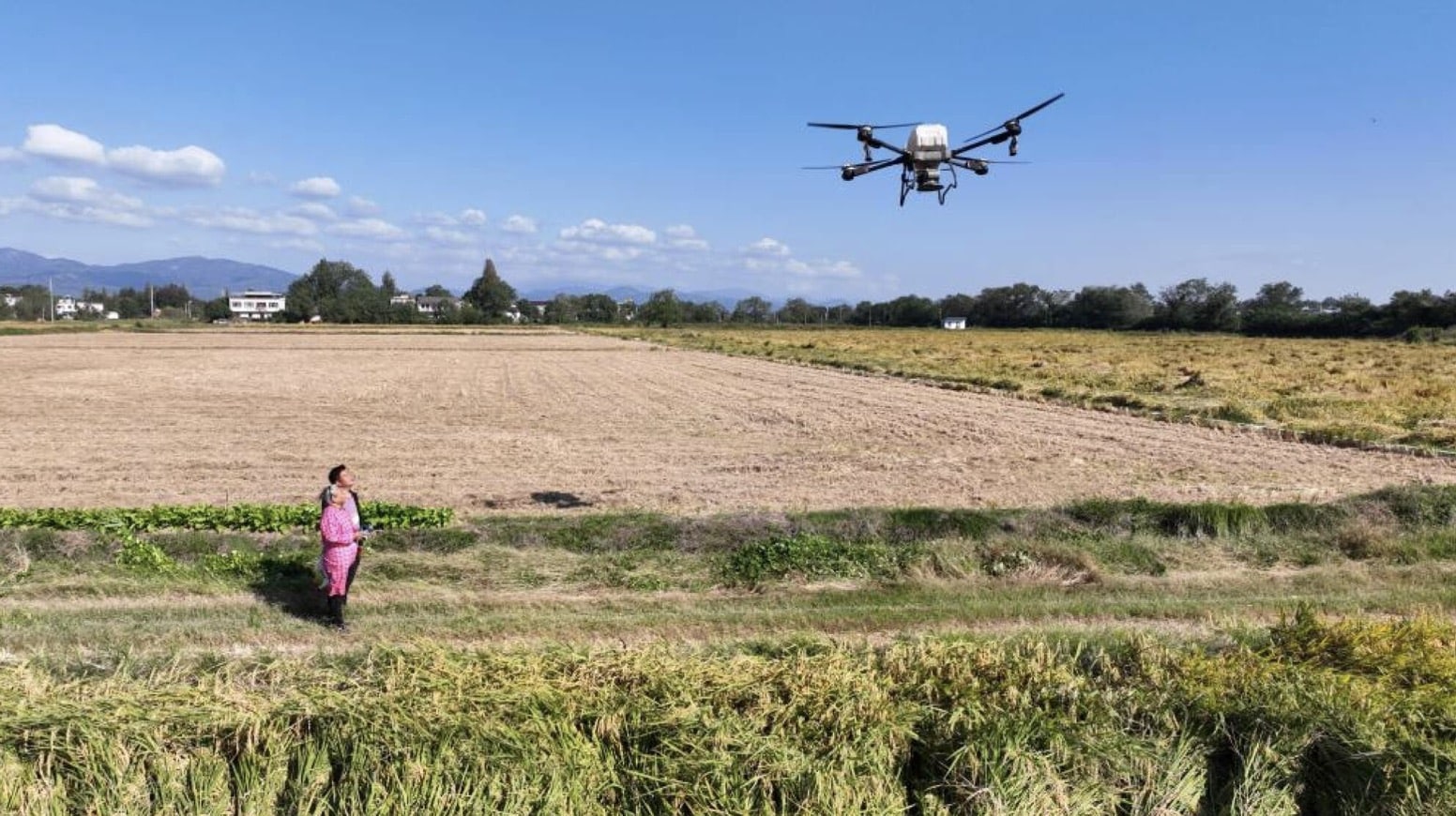 Agricultural drone spraying above a harvested field as a farmer watches from the edge.