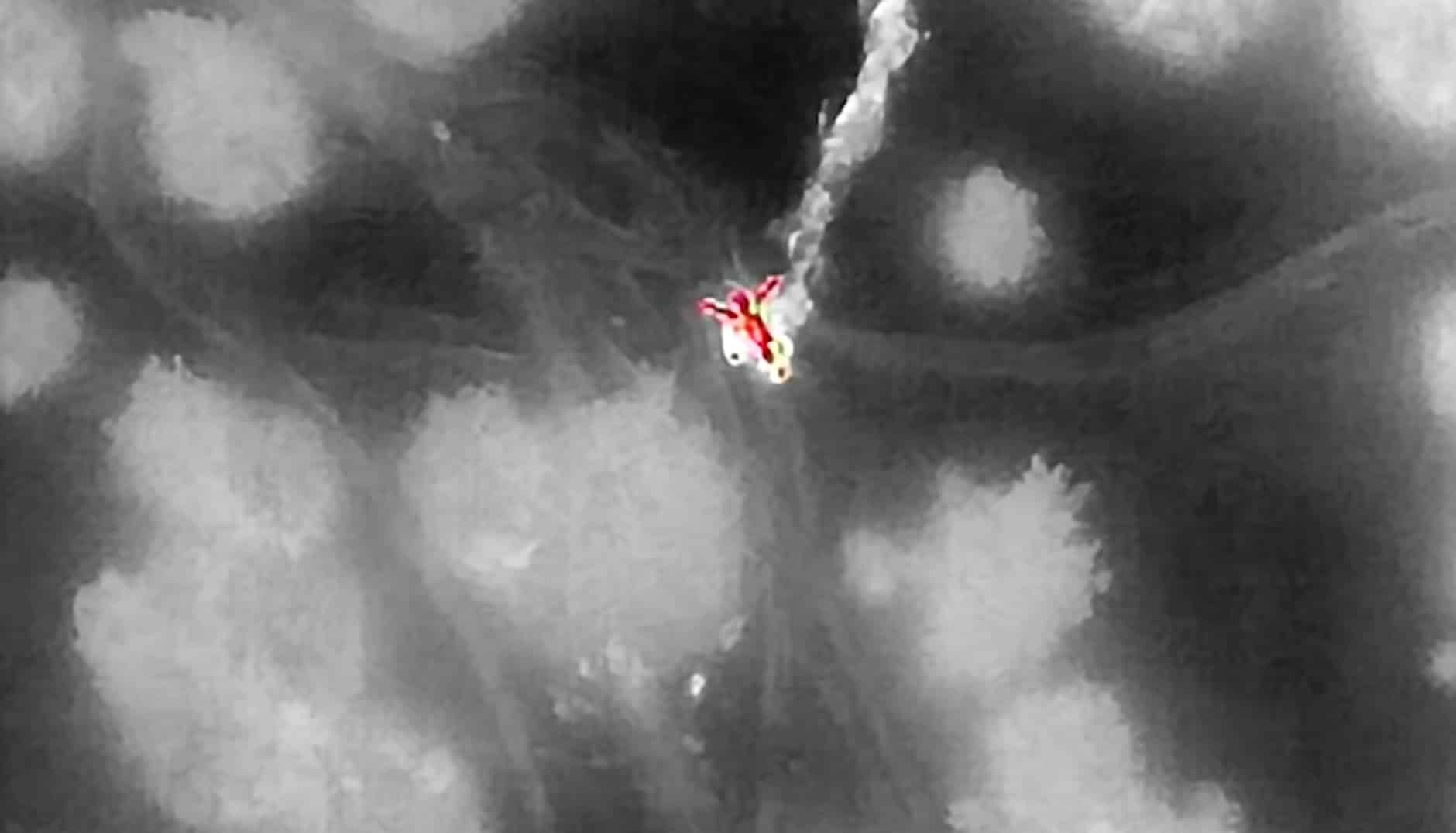 Still Image from CBS Colorado Video on Hiker Rescued from Colorado 14er | Photo Credits: CBS Colorado