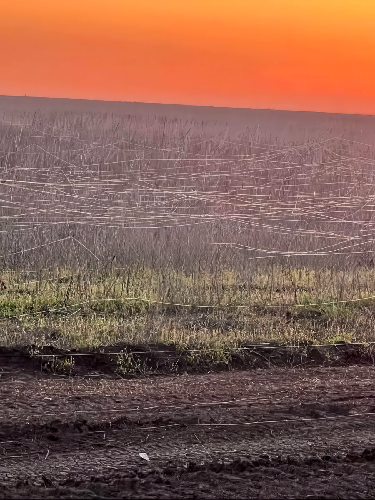 Fiber optic drone webs are reshaping Ukraine’s battlefields