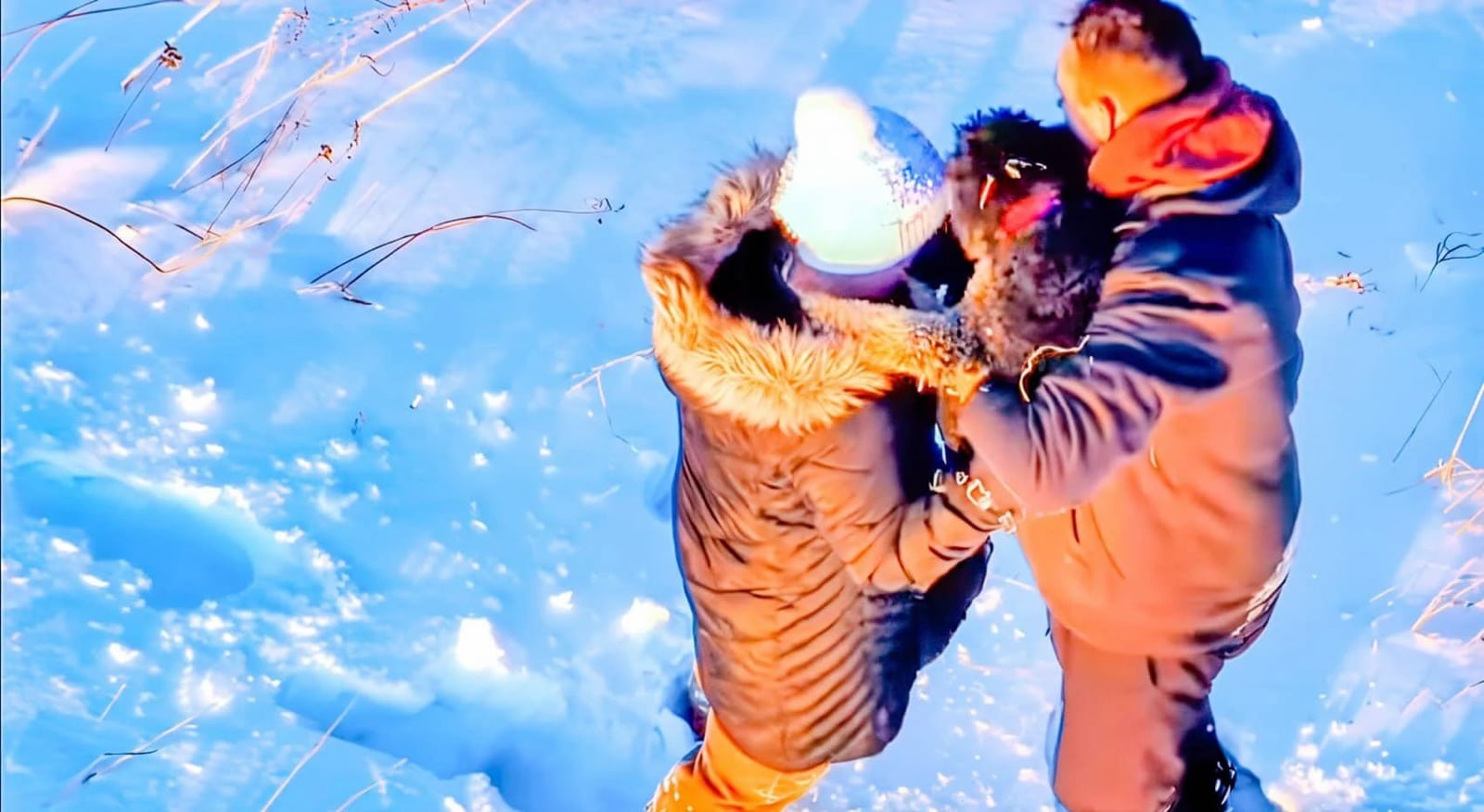 Drone view of two people in winter coats lifting a rescued dog from the snow.