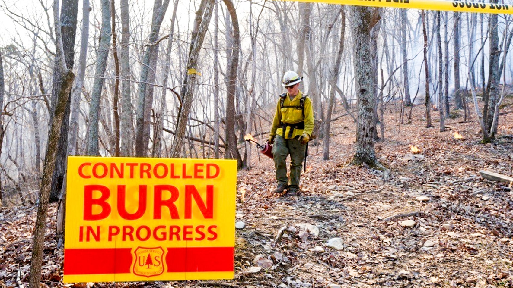 Prescribed fire burning across the Wilson Ridge unit in Pisgah National Forest.