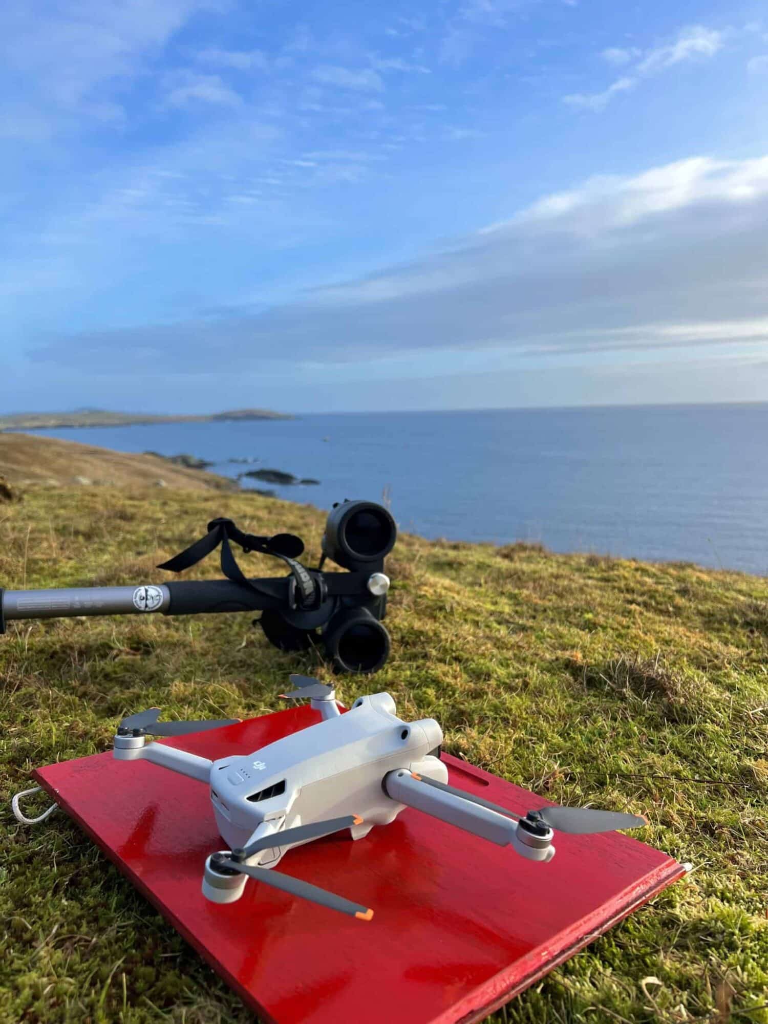 Drones Catch Porpoises in the Act off Shetland