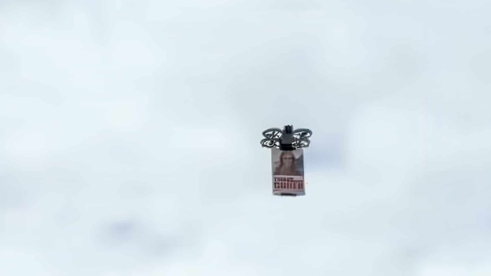 A DJI Neo Drone Over a Voting Line. This Actually Happened.