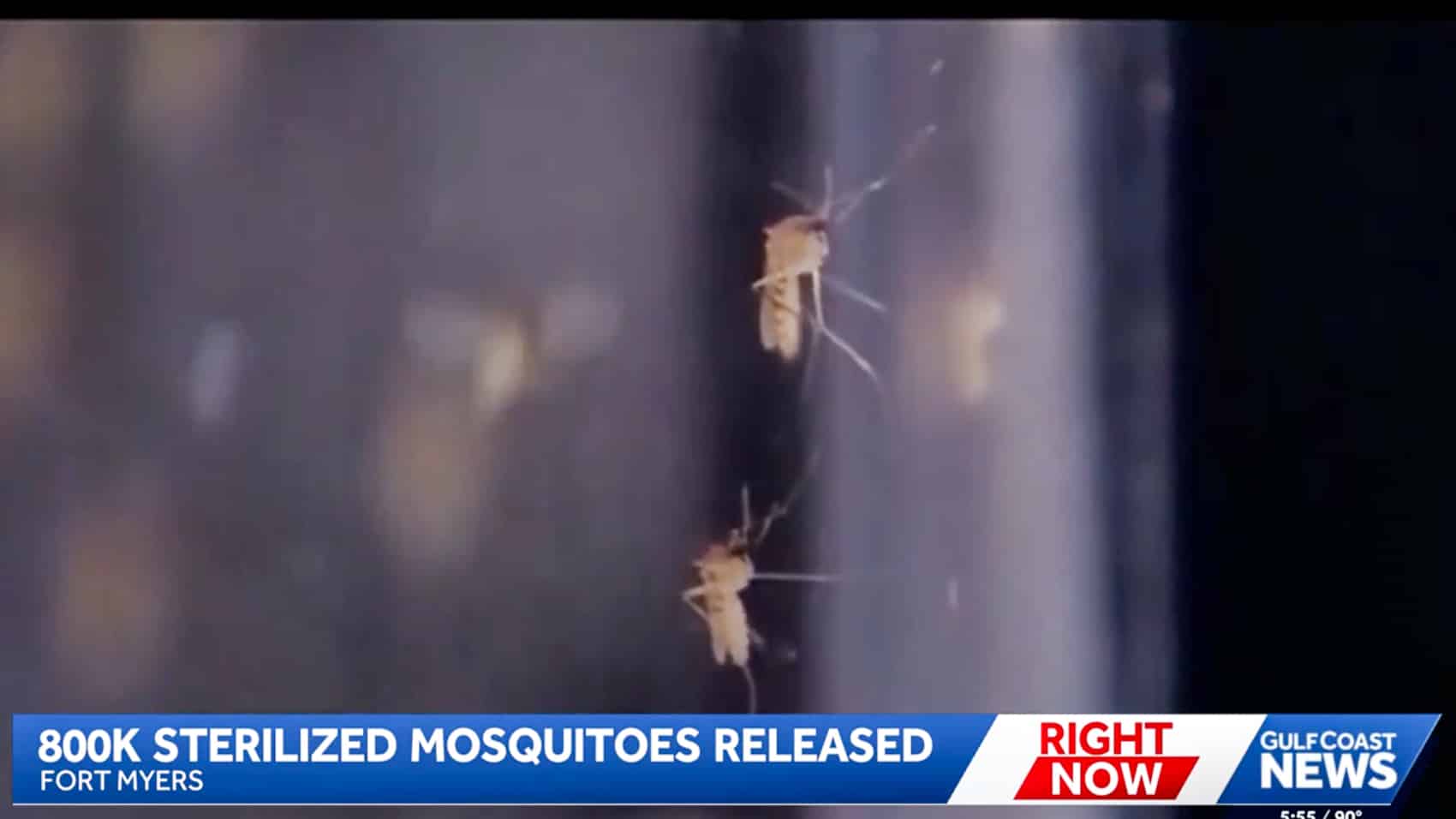 Lee County Mosquito Control District crews preparing a release flight.