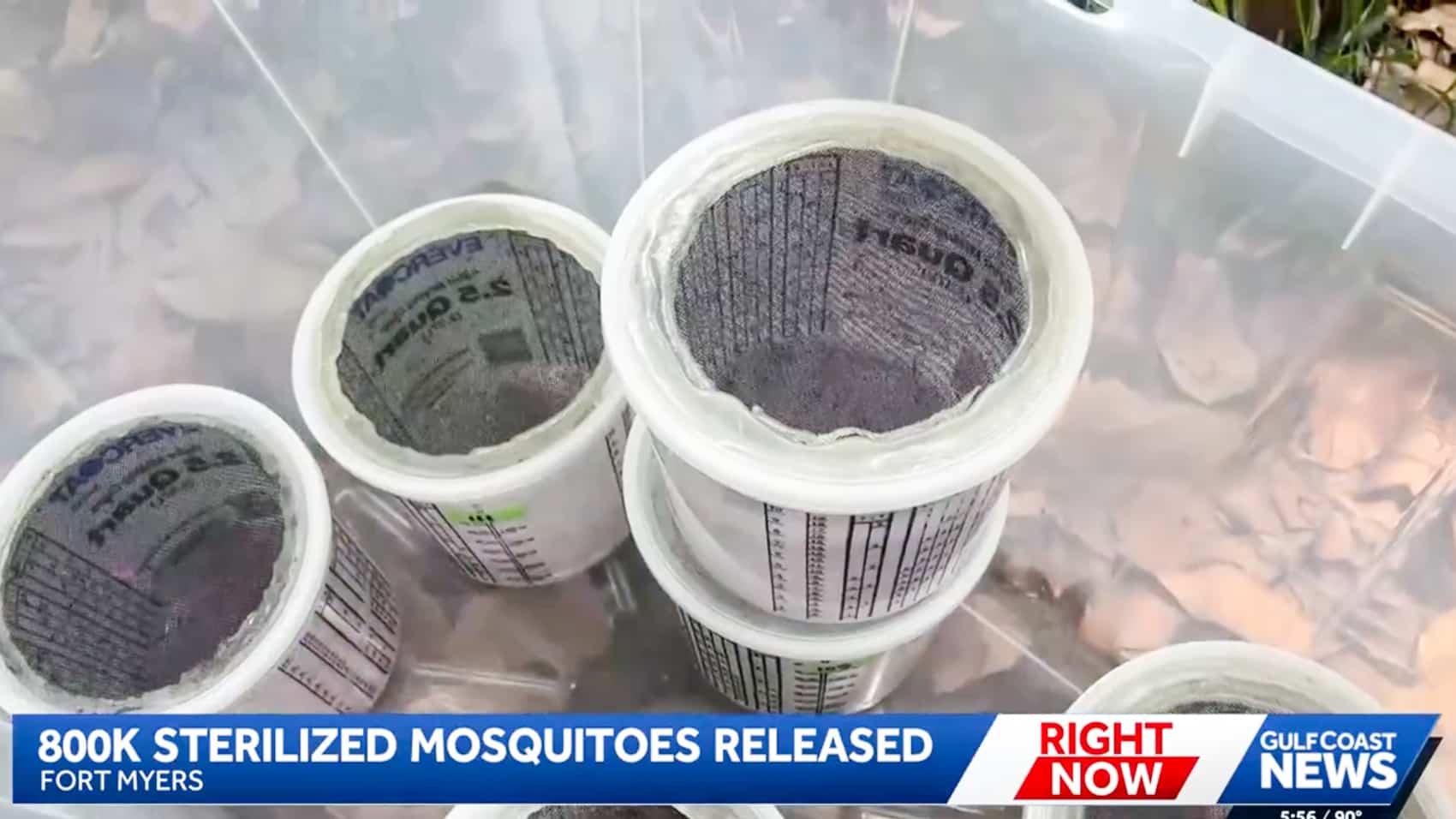 A Skydio X10 flying over Fort Myers neighborhoods on a sterile mosquito release.