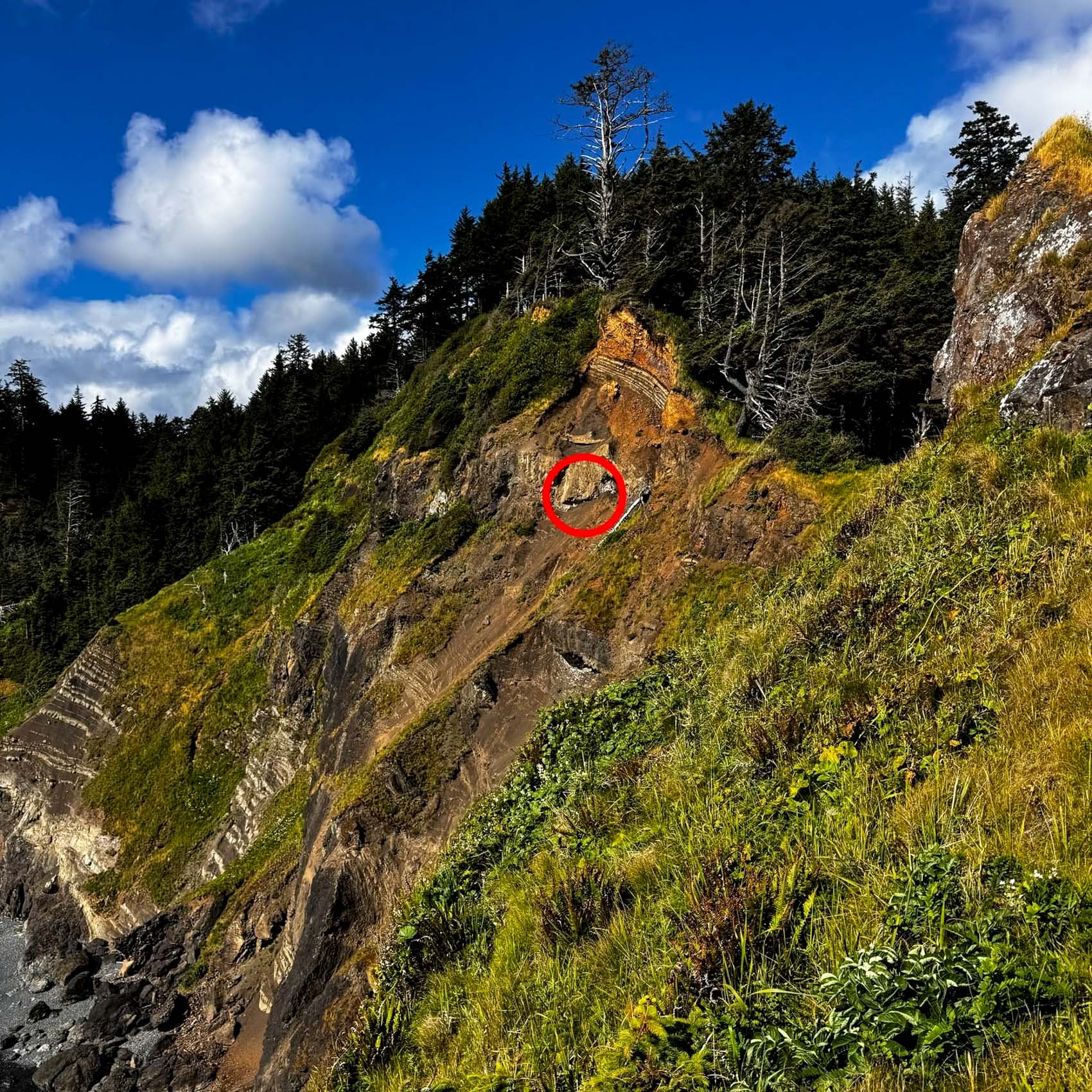 A DJI Police Drone Found a Dog Stranded on an Oregon Cliff