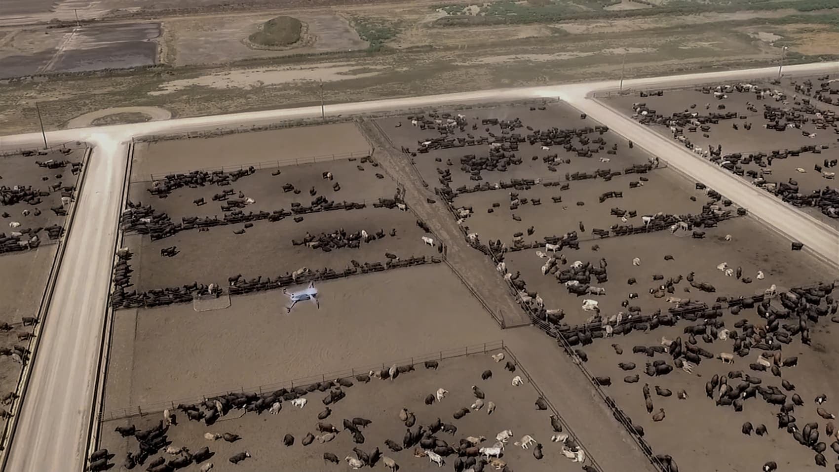 HeadCount Uses DJI Drones to Count $4,000 Cattle in Kansas