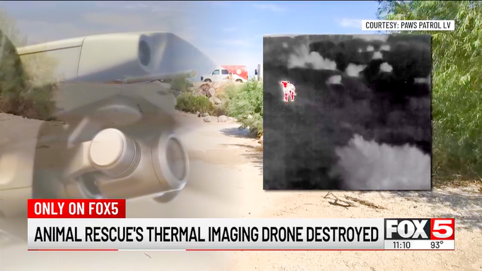 Thermal drone view of a dog during a Paws Patrol LV animal rescue search