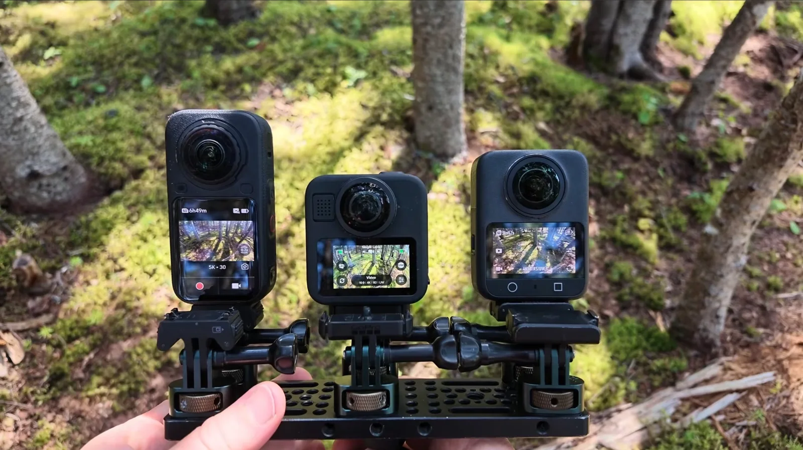 Three 360-degree action cameras mounted side by side on a handheld rig in a mossy forest, each showing a live preview of the trees on its touchscreen