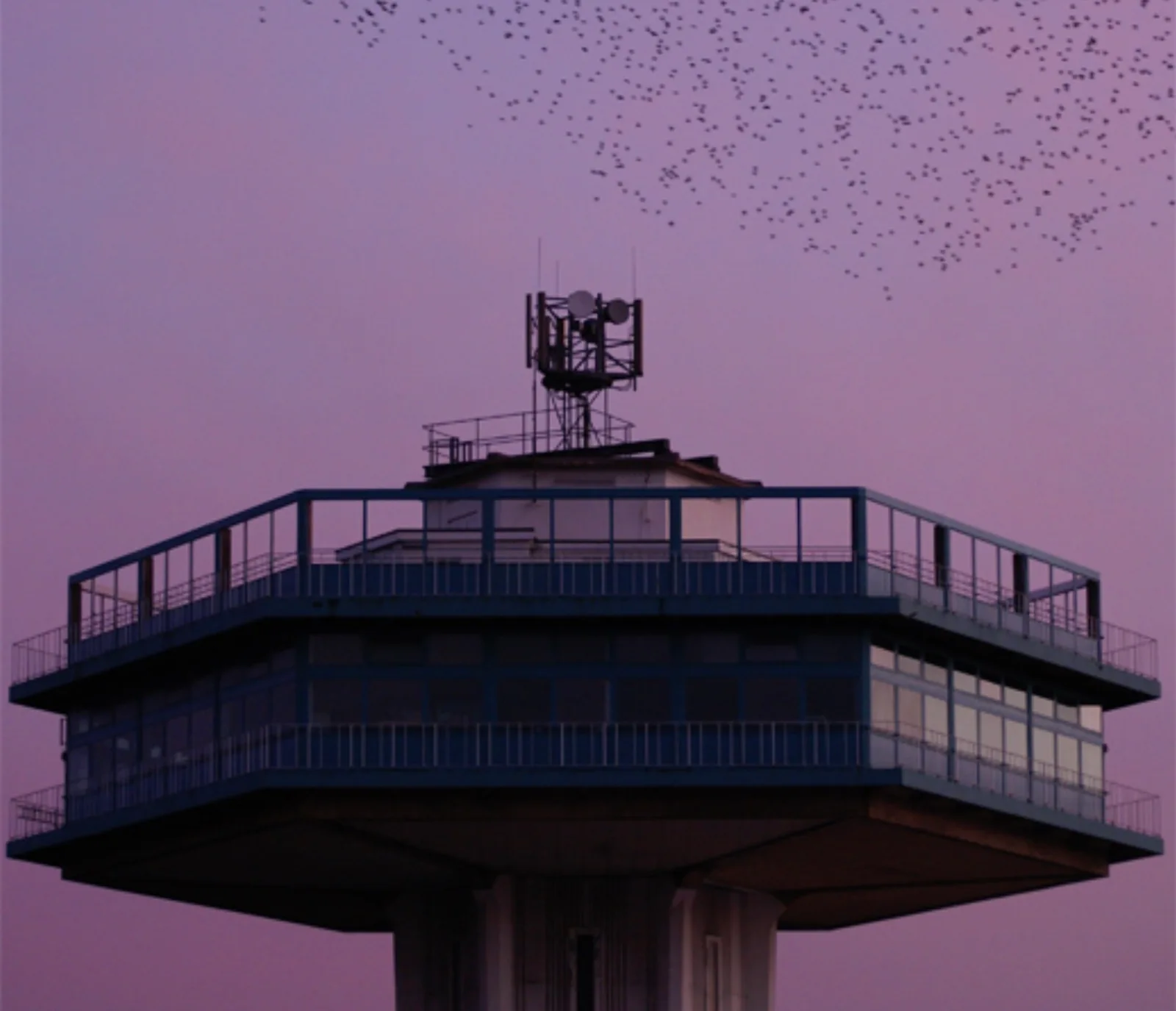 A dense flock of European starlings swirling against a purple dusk sky above a tower