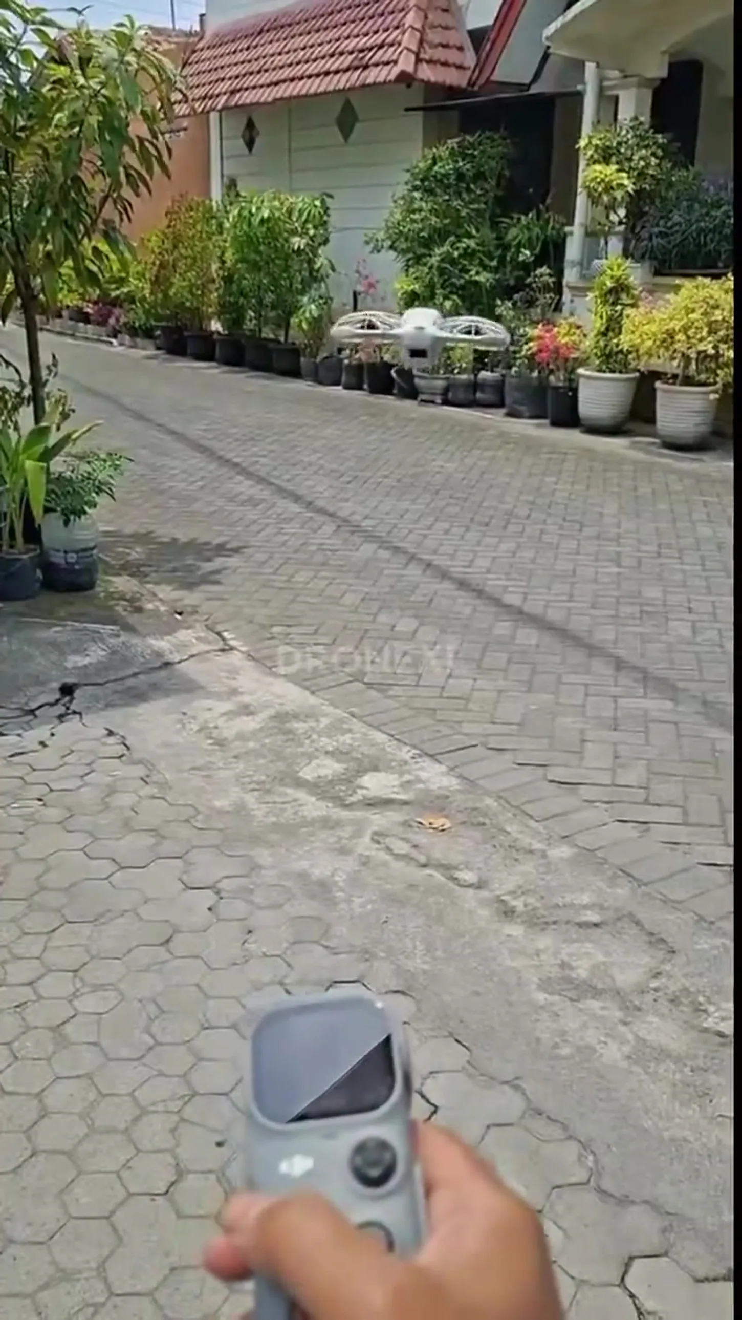 DJI Neo 3 hovering above a row of potted plants on a residential street while a hand holds the DJI RC Mini controller in the foreground