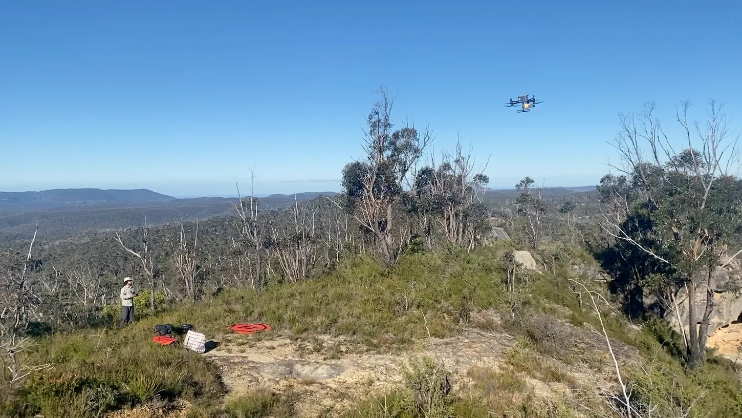 A drone hovers above dense eucalyptus bushland in the Blue Mountains while a pilot stands on a rock outcrop below